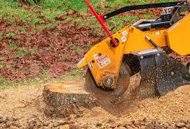 Best Storm Damage Tree Cleanup  in Robins, IA